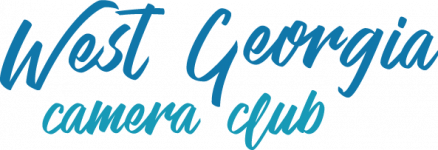 WGCC_logo